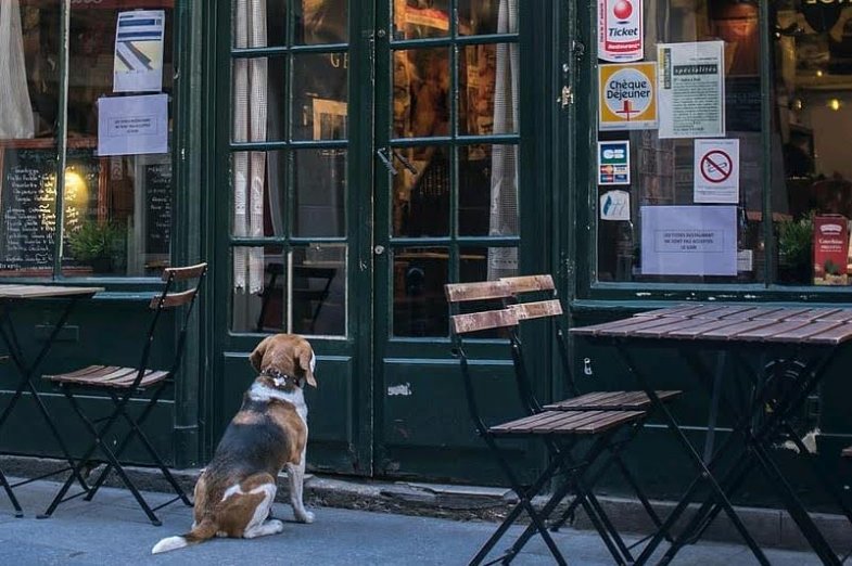 Prázdná restaurace, ilustrační fotografie