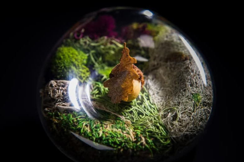 Ateliér Crenn, fotografie: Facebook Atelier Crenn.png Ateliér Crenn, fotografie: Facebook Atelier Crenn